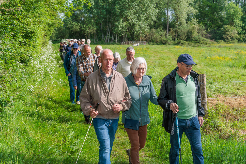 025 Wandeling Tongelaar js 2605101032 623880 lr
