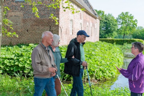 De stem 2026 3