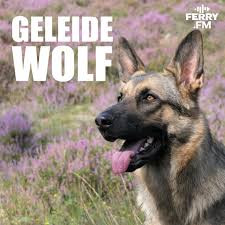 Podcast geleidewolf